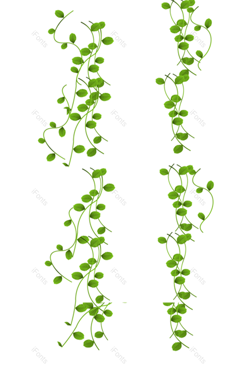 叶子图片,绿叶元素,树叶PNG,花草装饰免抠素材